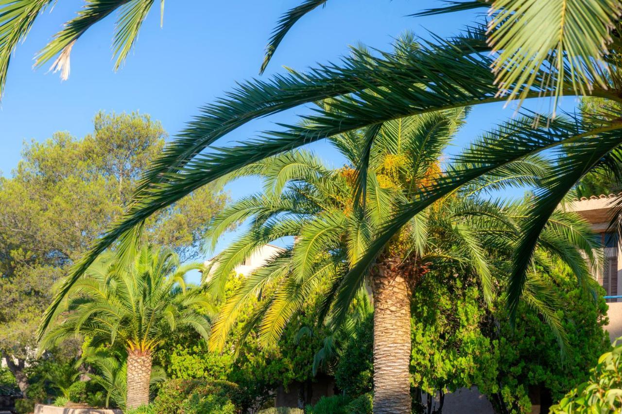 Residence Goelia Les Jardins D'Azur Saint-Raphaël Exteriör bild